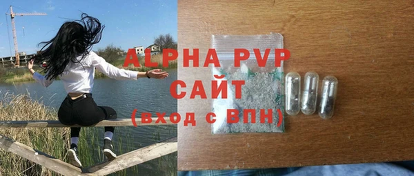 молекула духа Вязьма