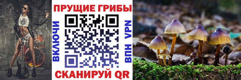 Псилоцибиновые грибы мухоморы  Купить  Морозовск 